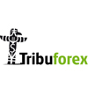 Tribuforex 