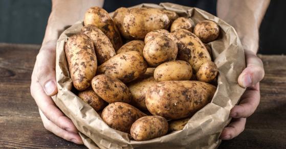 Un aperçu du marché mondial de la pomme de terre au milieu d’un vortex polaire « cauchemardesque »