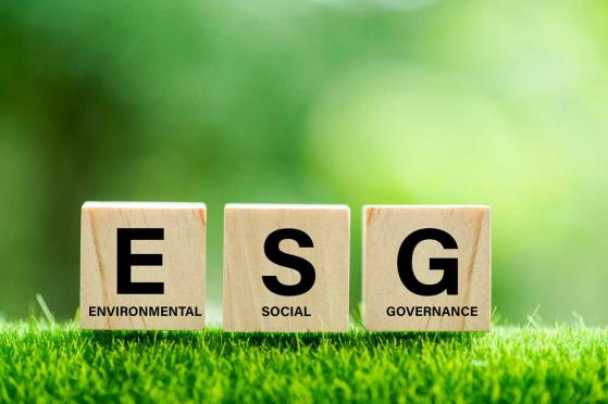 Les entreprises qui mettent en place une gestion ESG de qualité tendent-elles à avoir un coût du capital plus bas ?